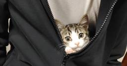 記事のアイキャッチ画像