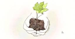 記事のアイキャッチ画像