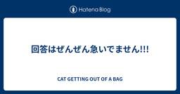 記事のアイキャッチ画像