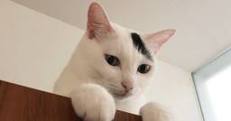 記事のアイキャッチ画像