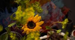 ブログのアイキャッチ画像